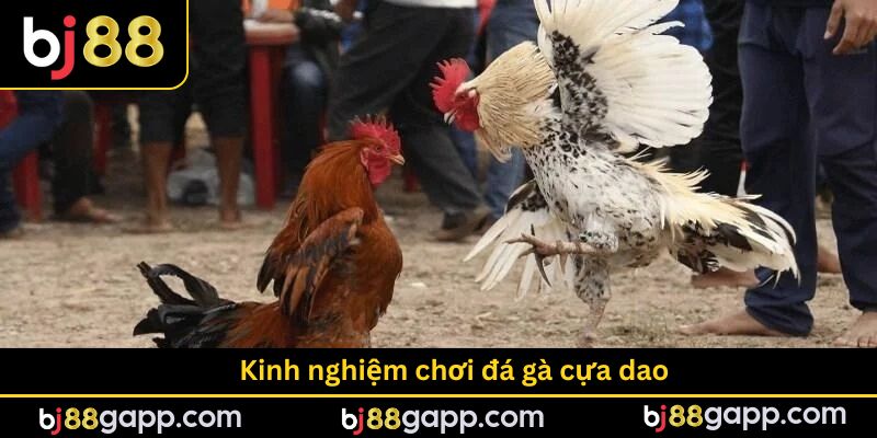 Một số bí quyết đánh hay cho bạn mới