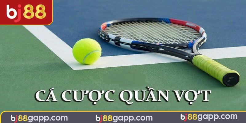 Cá Cược Tennis - Bắt Kèo Chuẩn, Nhận Thưởng Lớn Mỗi Ngày