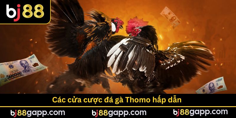 Các cửa cược hấp dẫn