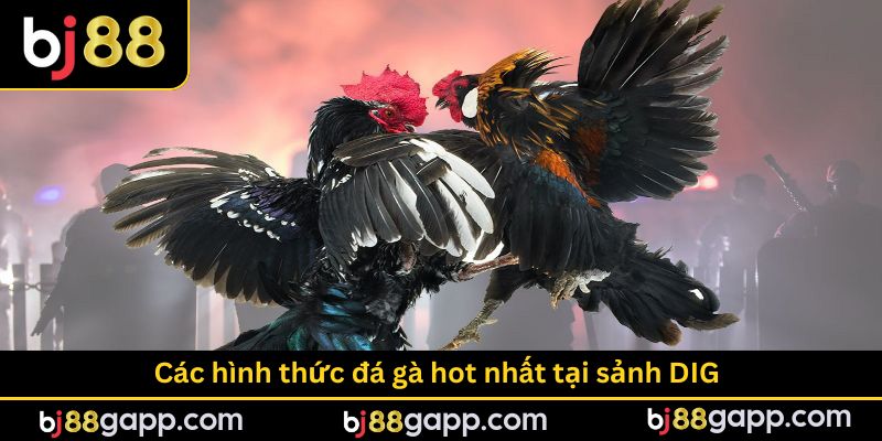 Các hình thức phổ biến