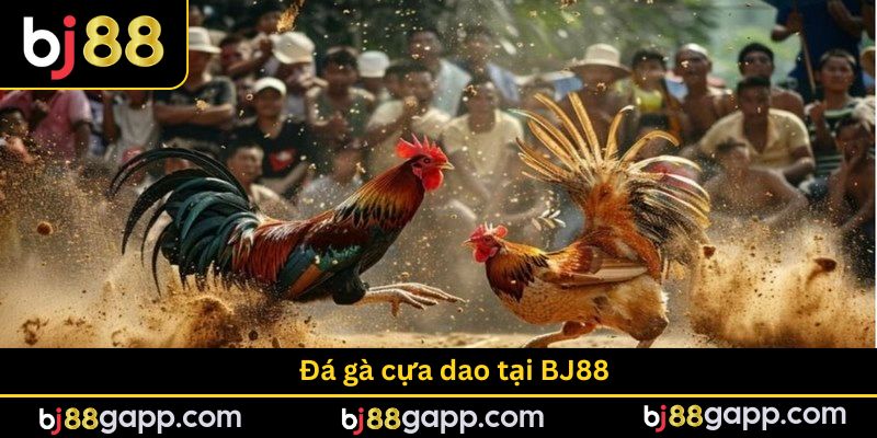 Vì sao nó được đón nhận rộng rãi?