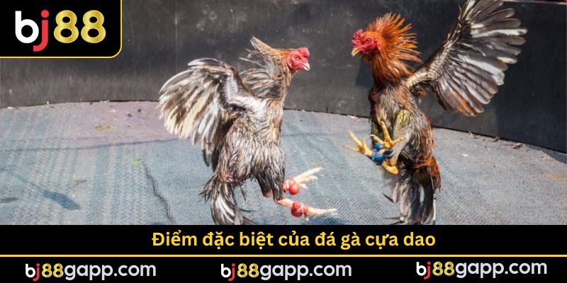 Điểm đặc biệt của trò chơi tại bj88