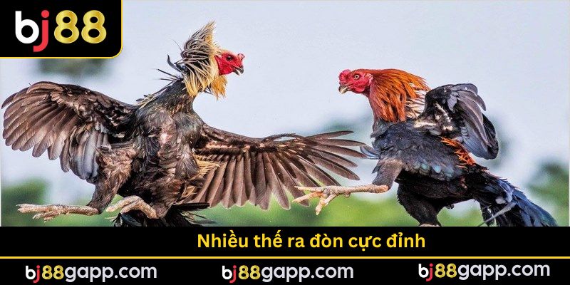 Nhiều thế ra đòn cực đỉnh