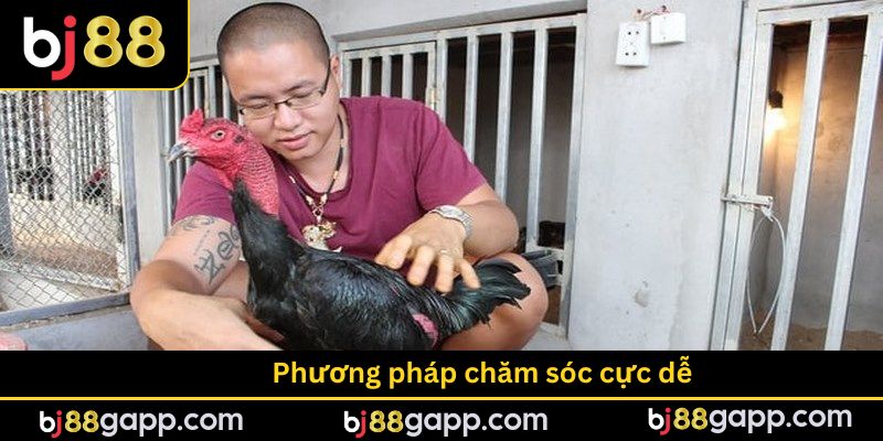 Phương pháp chăm sóc cực dễ