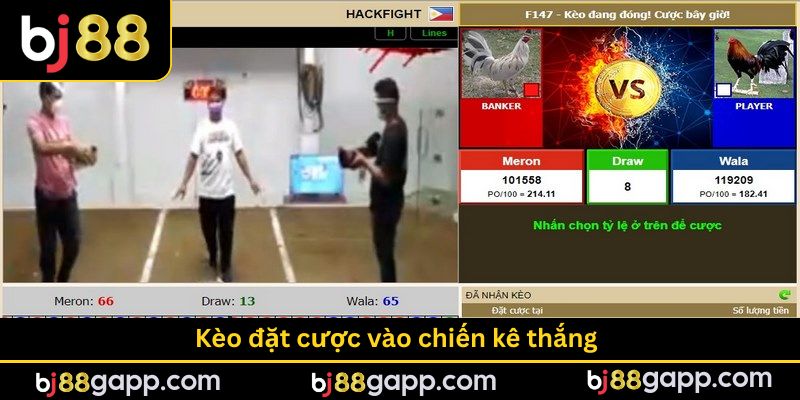 Kèo đặt cược vào chiến kê thắng