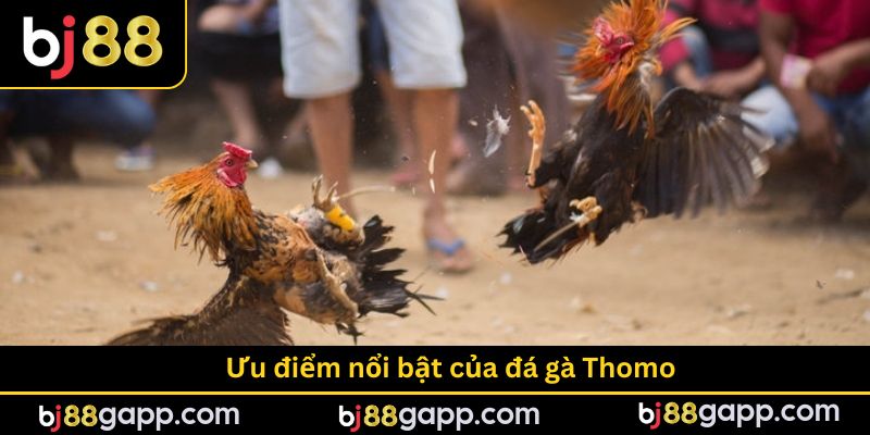 Ưu điểm nổi bật của hình thức