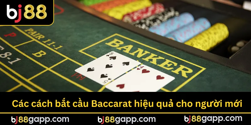 Các cách bắt cầu Baccarat hiệu quả cho người mới