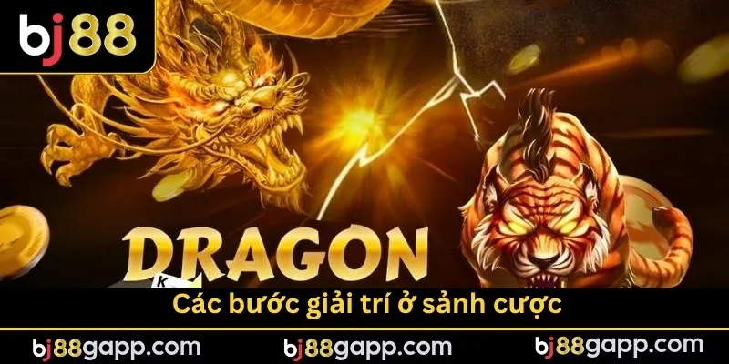 Các bước giải trí ở sảnh cược
