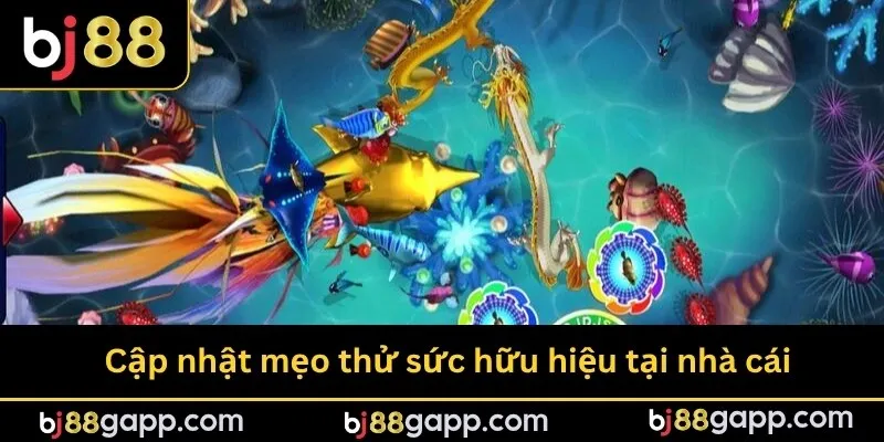 Cập nhật mẹo thử sức hữu hiệu tại nhà cái