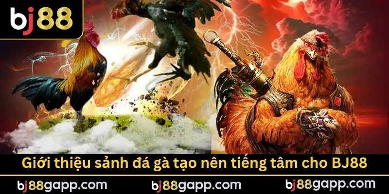 Giới thiệu sảnh đá gà tạo nên tiếng tâm cho BJ88