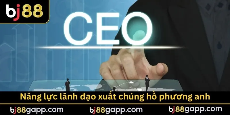 Năng lực lãnh đạo xuất chúng hồ phương anh
