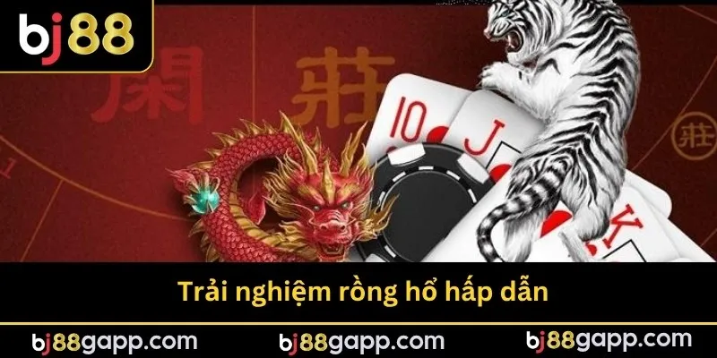 Trải nghiệm rồng hổ hấp dẫn